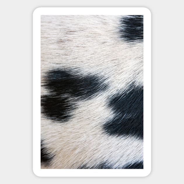 Dalmatian Fur Sticker by mooonthemoon